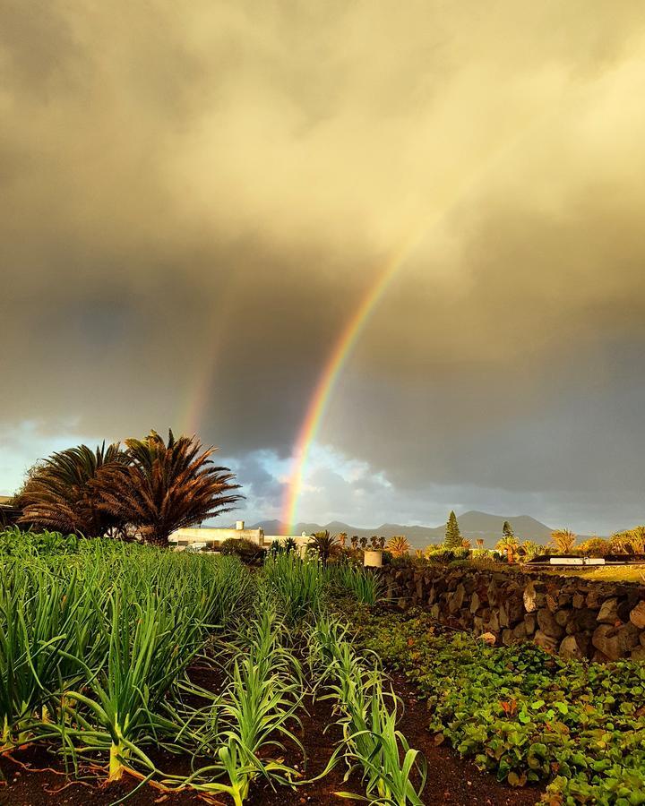 B&B La Mimosa Teguise  Eksteriør billede